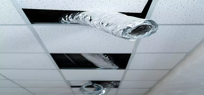 Affordable HVAC Sanitizing After Pest Removal in Toms River