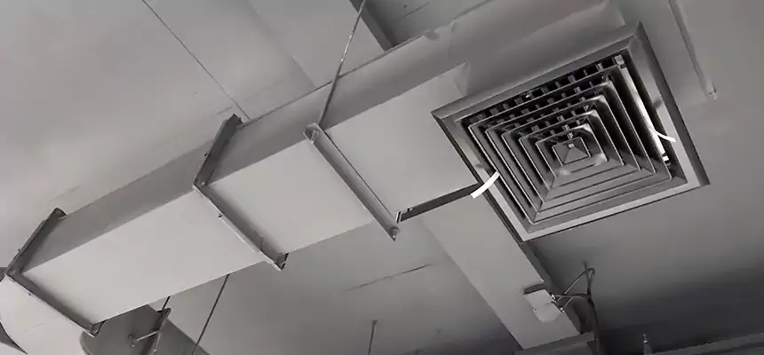 Restorative Allergy Relief Vent Cleaning – Coil, Blower & Housing Detail in Toms River