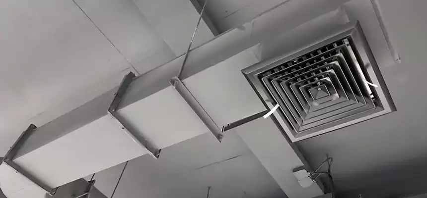 Our Pest Removal From Ducts Services in Toms River, NJ