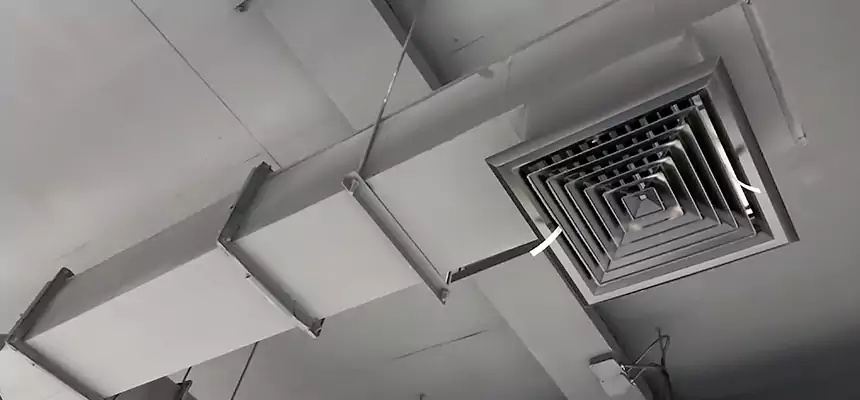 Our Rodent Droppings In Vents Services in Toms River, NJ