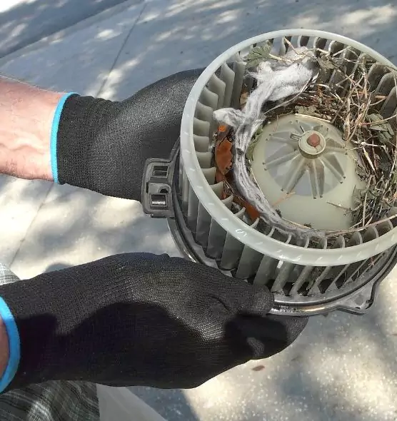 About Air Duct Mice Removal in Toms River, NJ