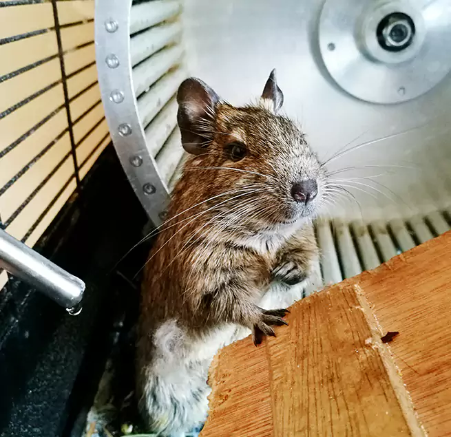 Why Homeowners & Businesses Trust Us Toms River, NJ