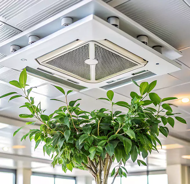 Why Homeowners & Businesses Trust Us in Toms River, NJ?