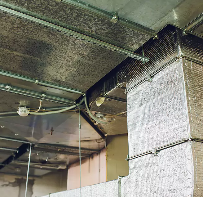 Why Homeowners & Businesses Trust Us in Toms River, NJ?